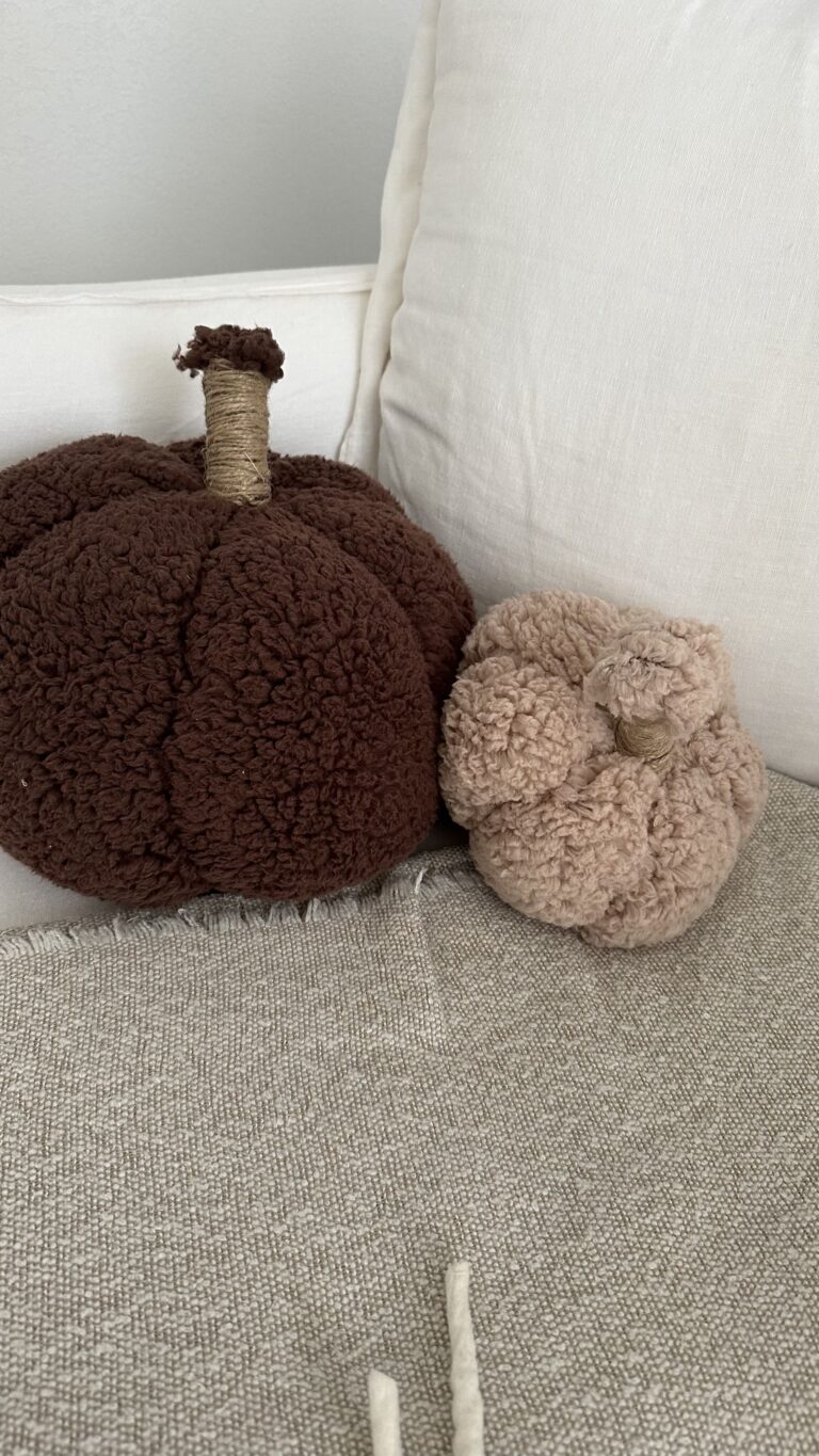 Photo d'un coussin citrouille marron et un beige